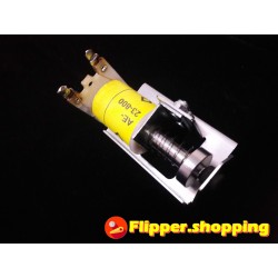 AUTO FIRE Ensemble Williams...